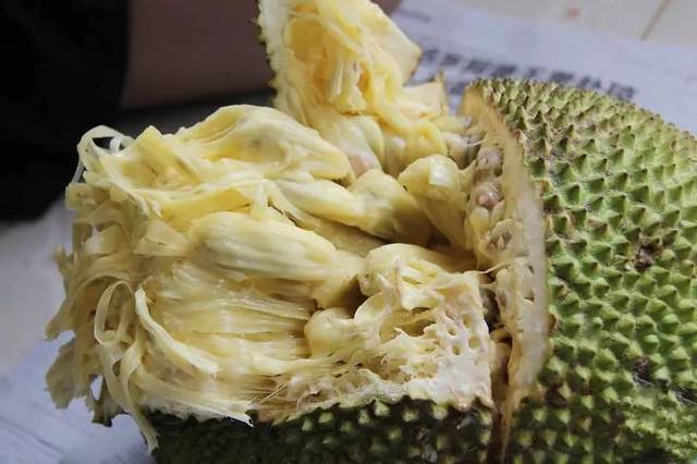 丘吉爾的秘密 产品图片