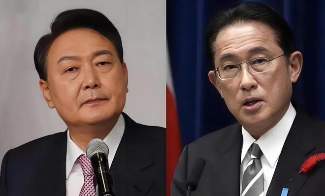 三色堇 视频截图