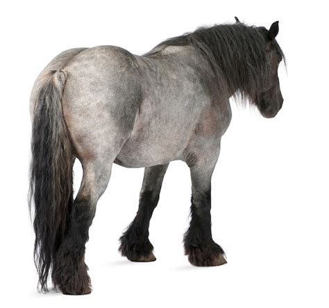 下一個聖誕節見