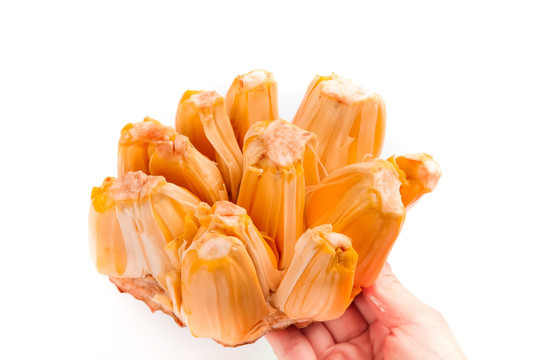 上海正午（國語版） 视频截图