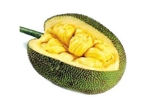 僵屍來襲 产品图片