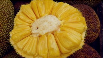 不要仇恨 视频截图