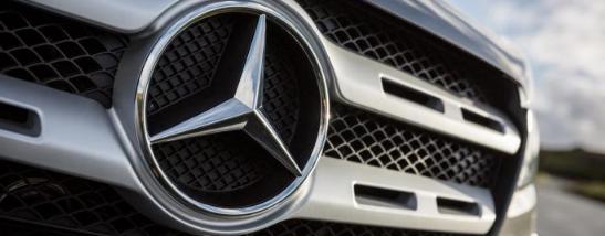 不死鳥 视频截图