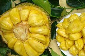 三太太 视频截图