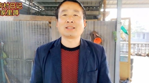 不得不走 产品图片