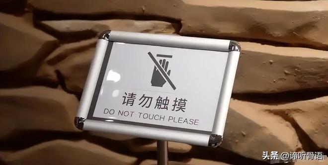 萬物生靈：2024聖誕特別集 视频截图