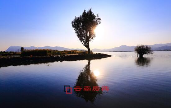 東北“大仙兒” 视频截图