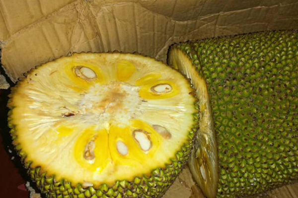 上海假期 产品图片