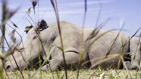 世界的邊緣 产品图片