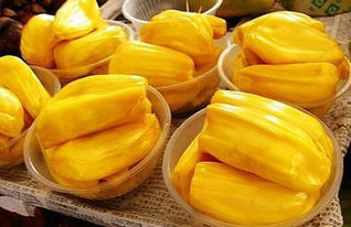 上帝未死5 视频截图