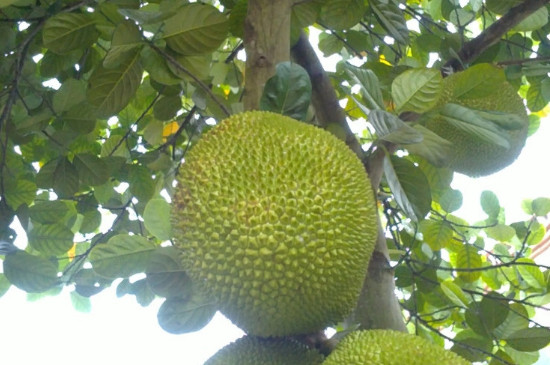 世紀大毀滅（國語版） 视频截图