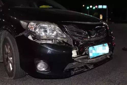 叢林赤子心 视频截图