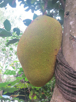 業餘紀錄片 视频截图