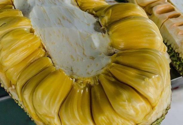 傻瓜特工大冒險