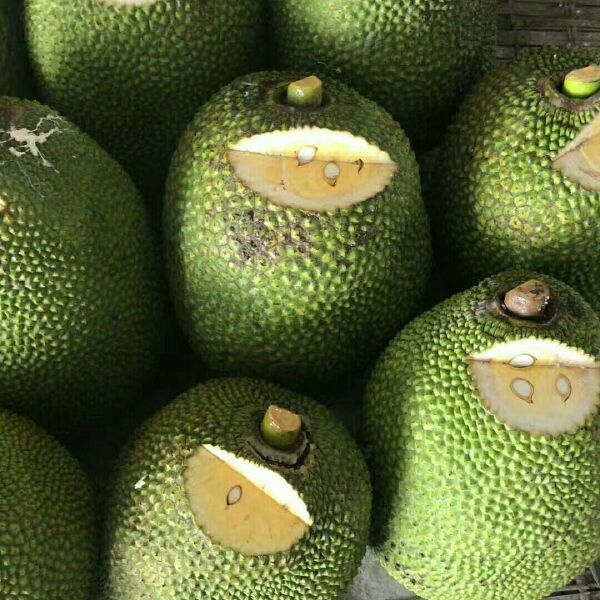 偷心俏佳人 视频截图