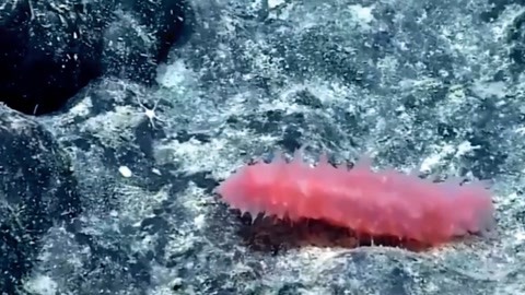 不準掉頭 视频截图