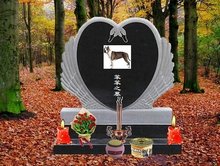 偷歡嫁期 视频截图