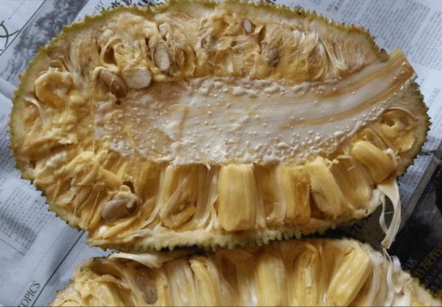 不欺不遇 视频截图