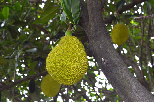 不同星球的奇怪戀人 视频截图