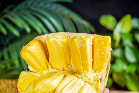 三個臭皮匠 产品图片