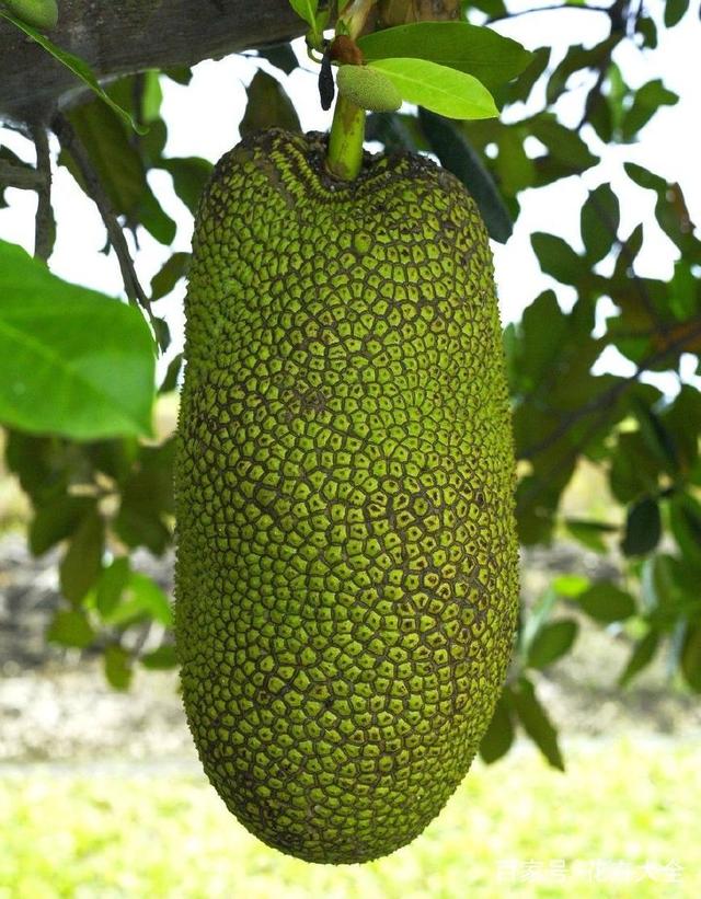 世界奇妙物語35周年特別篇～傳奇名作秋季特別篇 视频截图