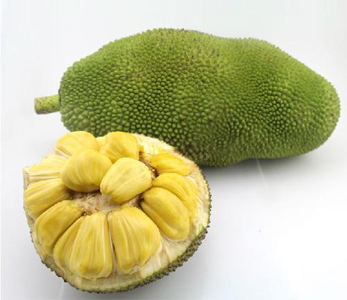 不能說的夏天 视频截图