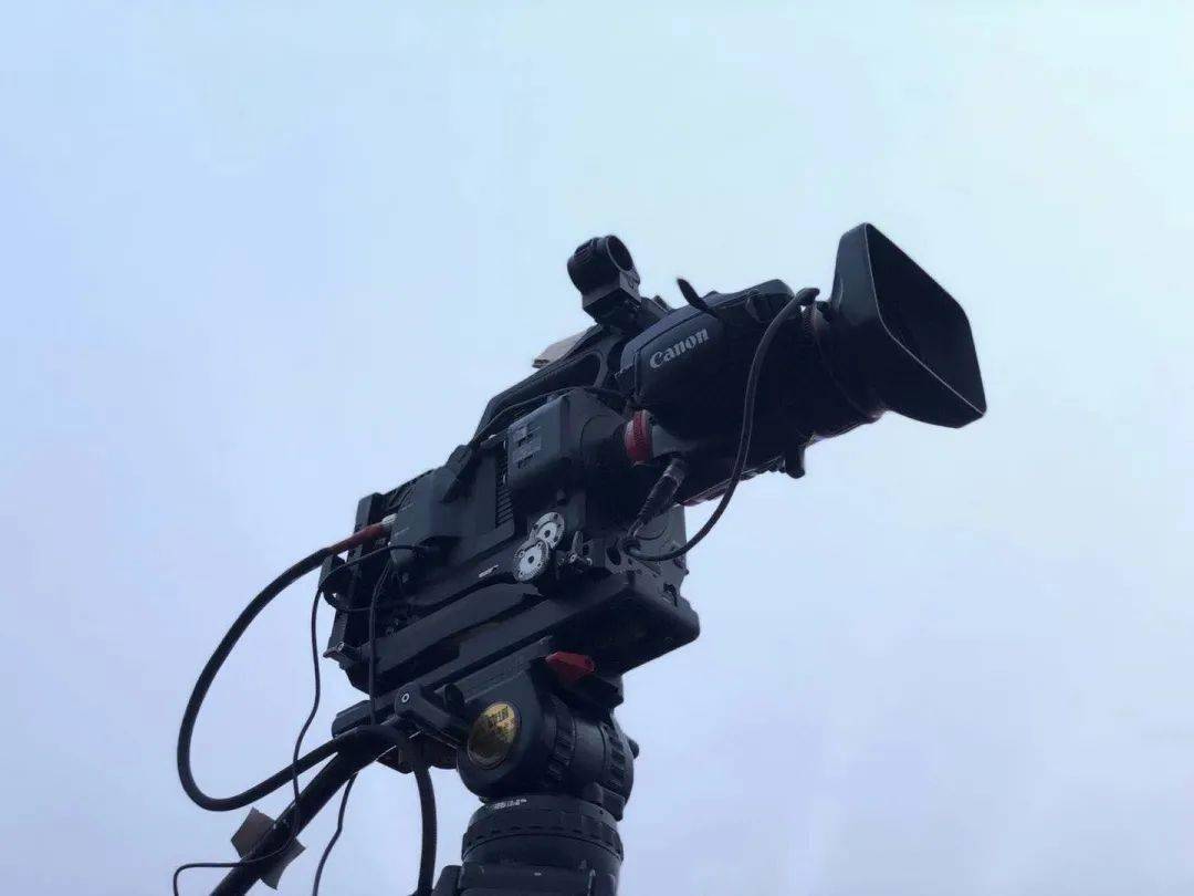 偷食搶食搵飯食 产品图片