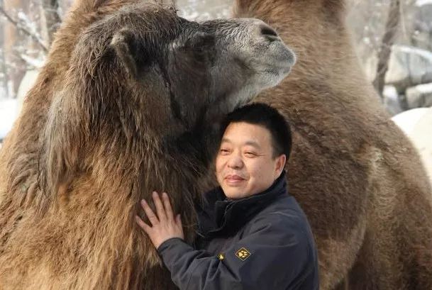 催眠對決 视频截图