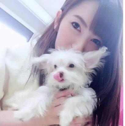 世界上最長的照片 视频截图