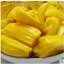 咖啡風暴 视频截图