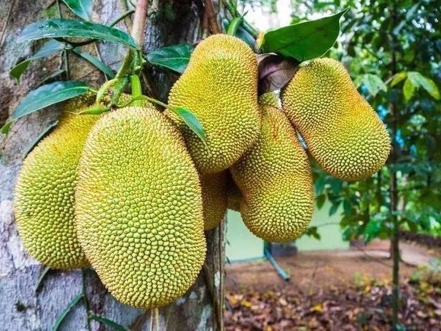 與愛同居之永恒的愛 视频截图