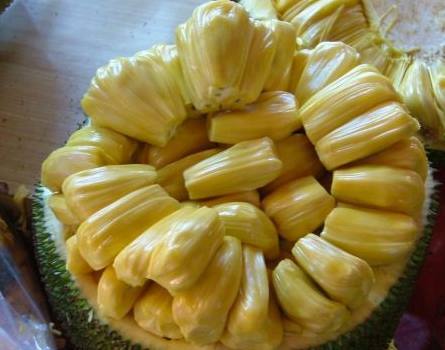 東京戰爭戰後秘史 视频截图