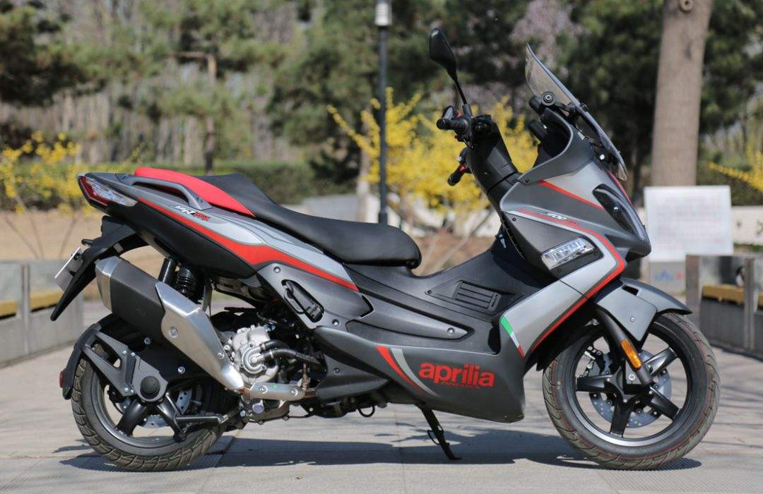 叢林噩夢 视频截图