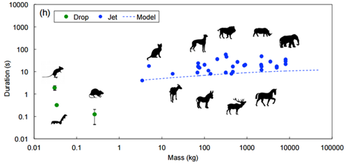 萬王之王 普通話版 视频截图