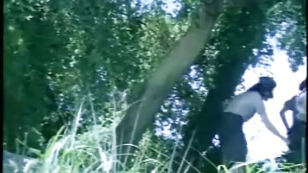 與你隨行 产品图片