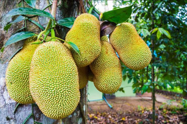 不良關係之如果沒有你 视频截图