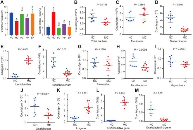 不見不散 视频截图