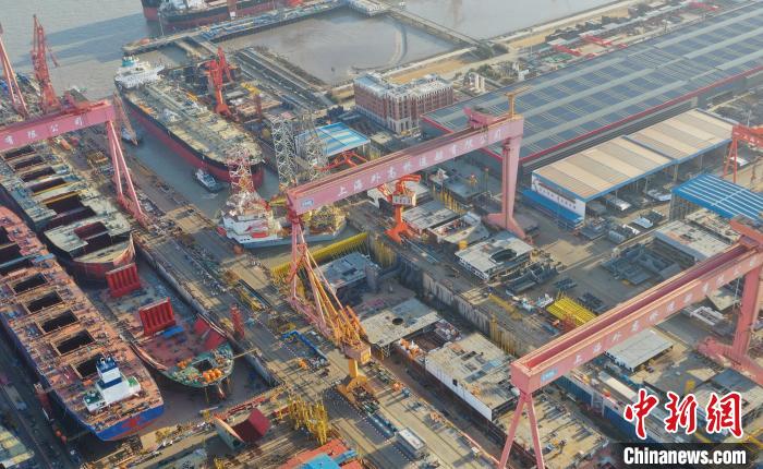 三色堇 视频截图