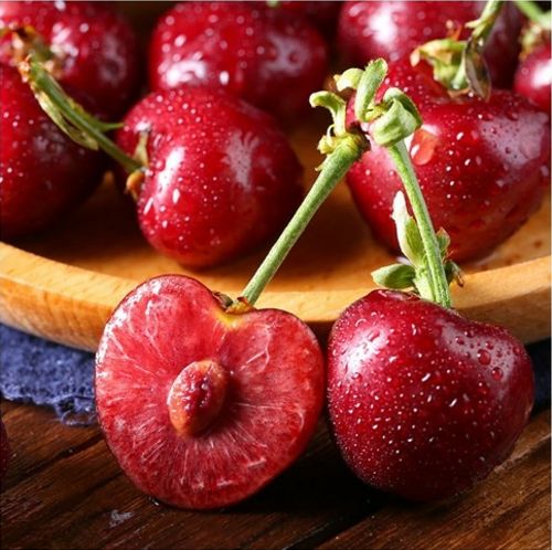 一條叫旺達的魚