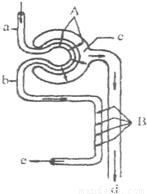 不羈夜2022 视频截图
