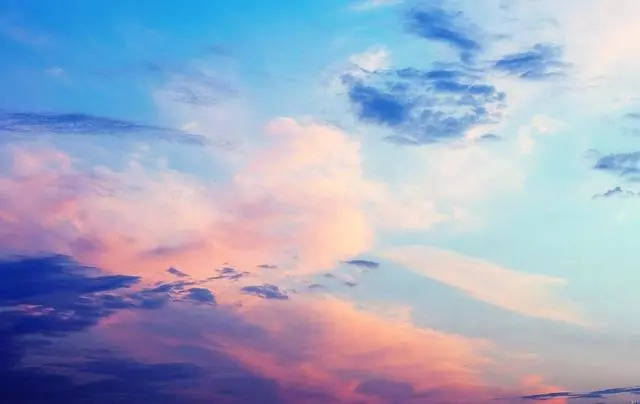 叢林女王 视频截图