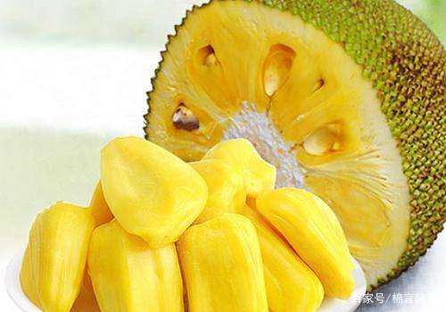 停不了的節奏 视频截图