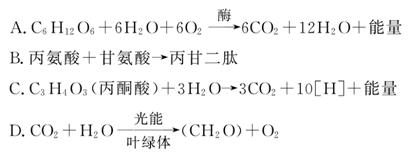 三個戰友 视频截图