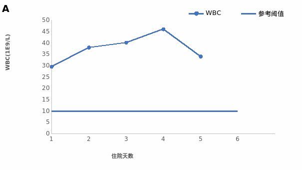 不肯去觀音 视频截图