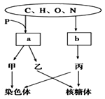 東陵盜寶之徐公館詭事 视频截图