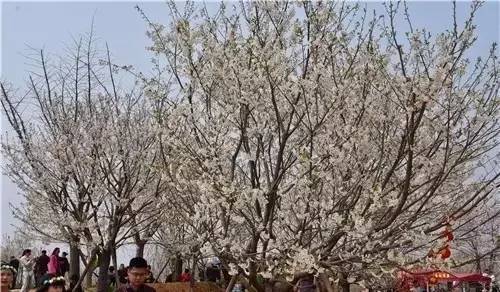 東京戰爭戰後秘史 视频截图
