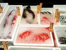 東京奏鳴曲 视频截图