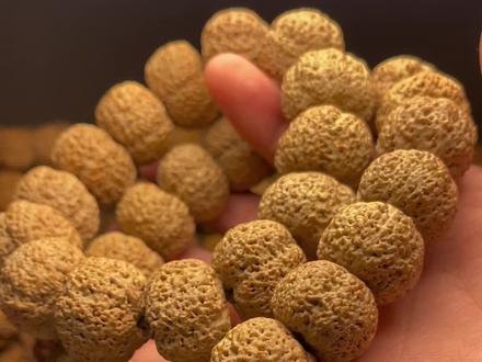 叢林大營救 视频截图