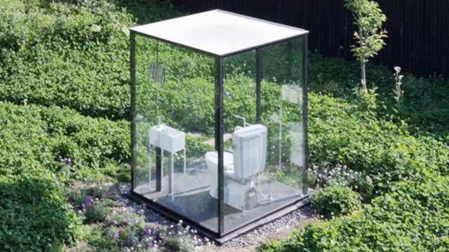 三色堇 视频截图