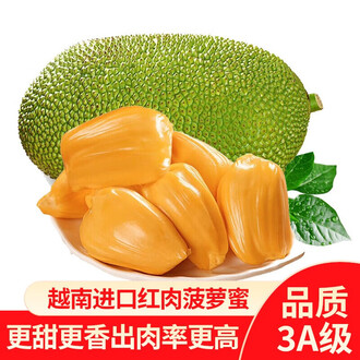 世界在我們腳下 产品图片